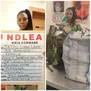 10 Corpses Found Hours After Gunmen Attack In Southern Kaduna, Kaduna Woman Arrested With Drugs Tells NDLEA she Wanted To Raise N5m Ransom To Free her Mother From Bandits