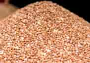 8 Health Benefits Of Carrots That You Never Knew, 7 Amazing Health Benefits Of Sugary Brown Beans You Ought To Know