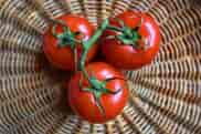 Measures On How To Get More Carrots Into Your Diet To Increase Greater Nutrition, 18 Health Benefits Of Fresh Tomatoes That You Didn&#8217;t Know